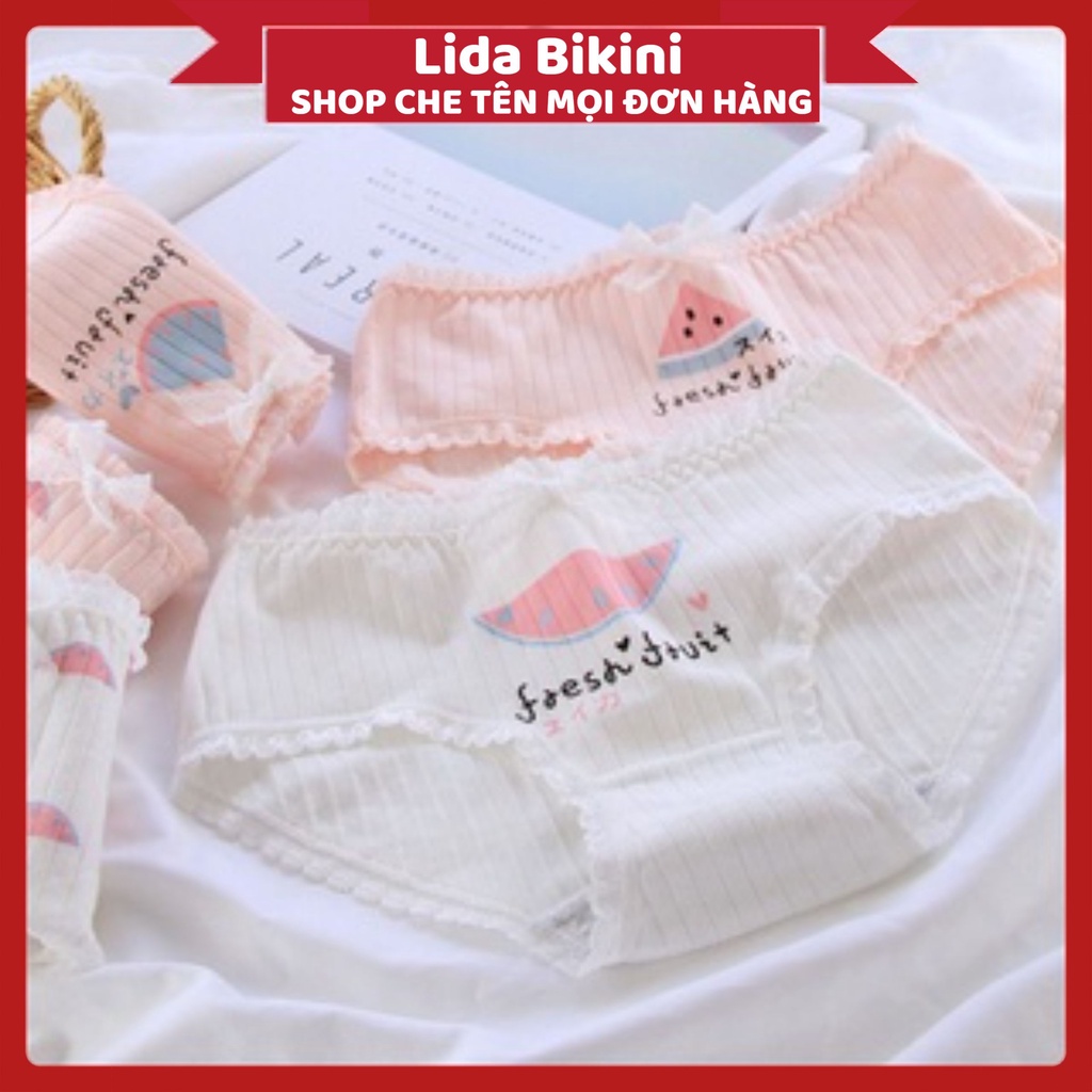 Quần Lót Nữ Cotton gân tăm hình dưa hấu mỏng mát tôn dáng dễ thương DAN STORE mẫu 692