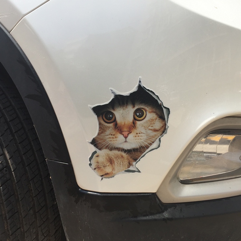 Tem dán xe ô tô 3D, Đề can dán xe- che vết xước, trang trí xe hơi