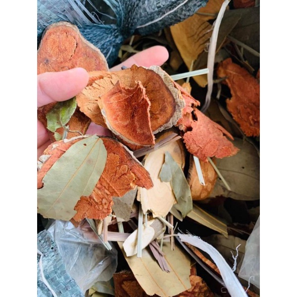 Lá tắm Dao đỏ sau sinh