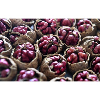 Óc chó đỏ Mỹ ( 1000g)