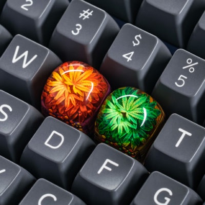 Phiên bản giới hạn Keycap  DF TERRARIUM DOM version