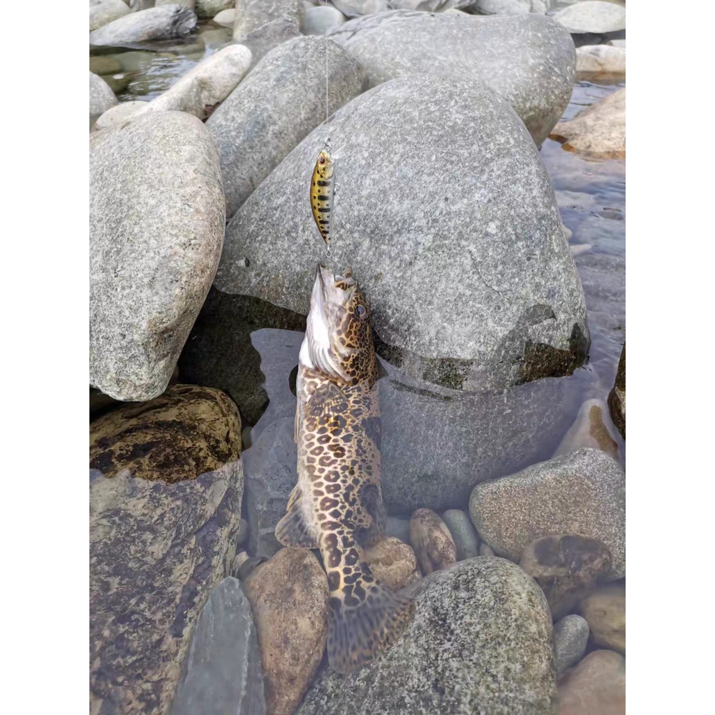 Mồi giả câu lure cá chày suối cá mương Mi 50SS minnow 5cm/5gr