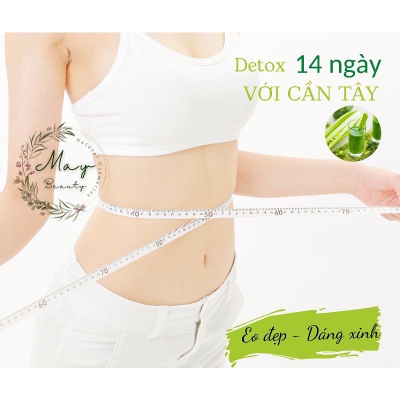 Bột Cần Tây nguyên chất 1kg sấy lạnh hữu cơ Organic Handmade