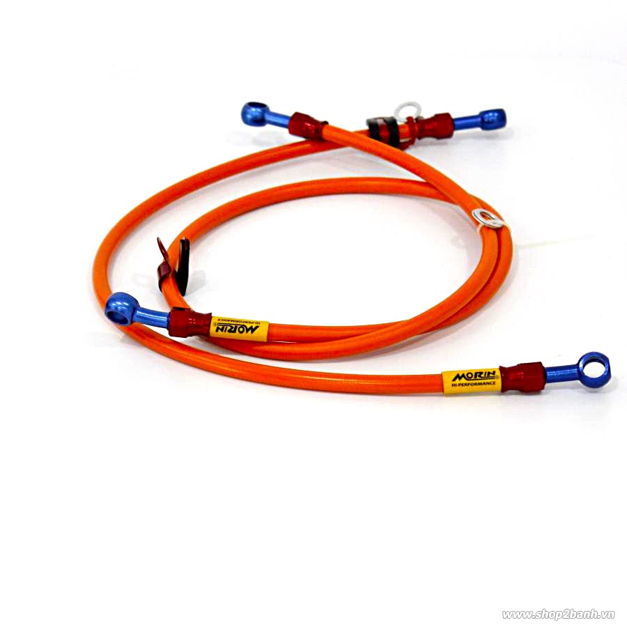 Dây dầu sau morin