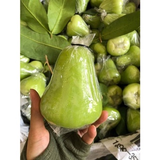 Cây Mận Xanh Tam Hoa cây ghép siêu sớm