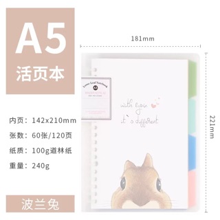 Sổ gáy còng chống loá