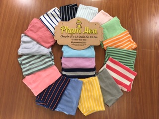 Bộ kẻ cotton len , cổ 3f