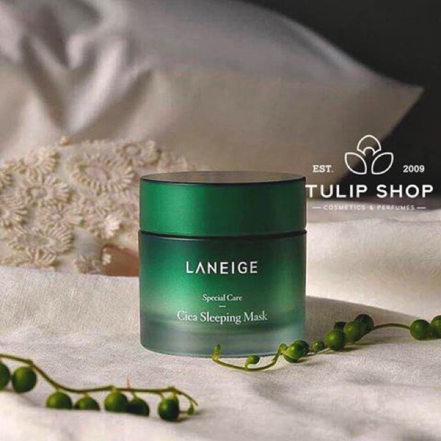 Mask mặt nạ ngủ CICA Sleeping Mask fullsize 60ml