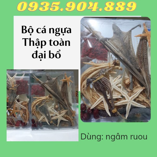 Bộ cá ngựa 11 món {cá ngựa, sụn v-i cá, sao biển, hải sâm, hải long, bào ngư, đẳng sâm, kỳ tử...)