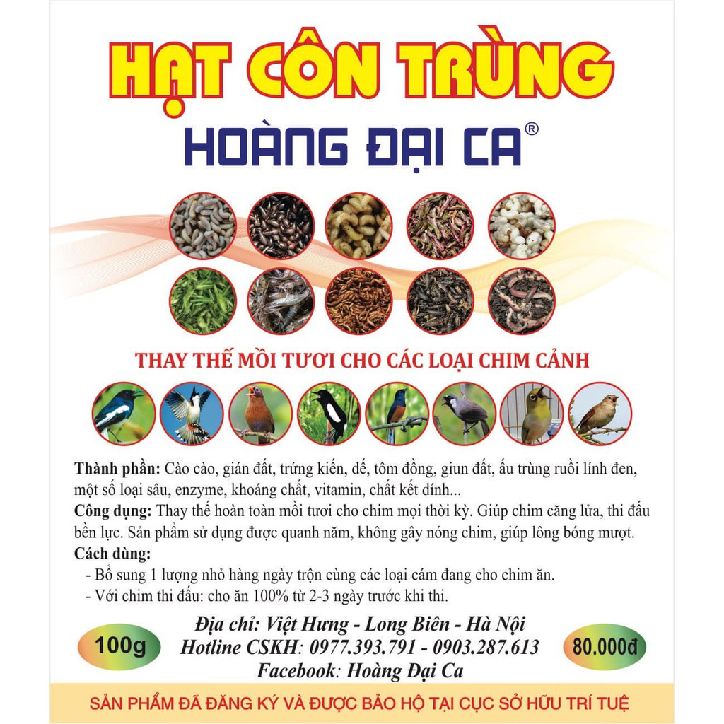 Hạt Côn Trùng Hoàng Đại Ca Combo 5,10 Gói 100g Hạt Côn Trùng Siêu Chất thấy thế mồi tươi