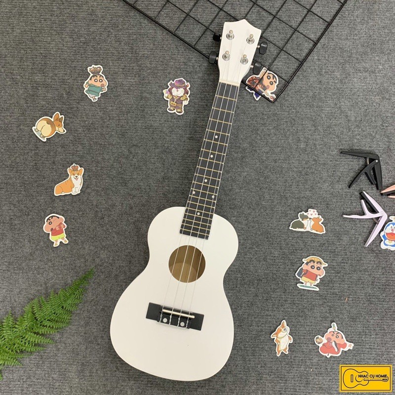 ( FLASH SALE ) ĐÀN UKULELE CONCERT MÀU