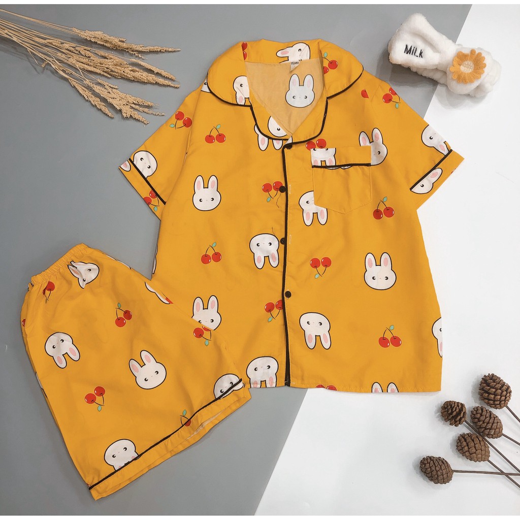 Bộ ngủ pijama ngắn hình mới siêu cute | BigBuy360 - bigbuy360.vn