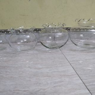 Bể cá thủy tinh mini để bàn tai bèo