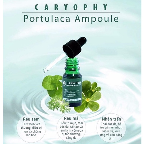 Serum giảm mụn mờ thâm se khít lỗ chân lông Caryophy 30ml