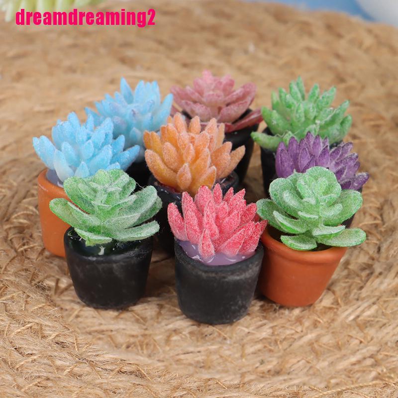 Bộ 5 Mô Hình Chậu Cây Mini Tỉ Lệ 1: 1 Dùng Để Trang Trí Nhà Búp Bê