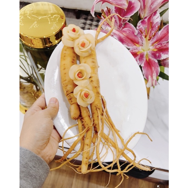 [GIÁ TỐT] 1 hoa làm từ củ sâm(ghép bình)