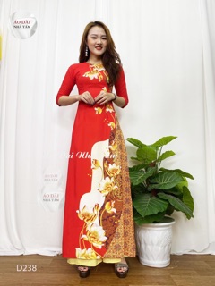 Áo Dài in 3d