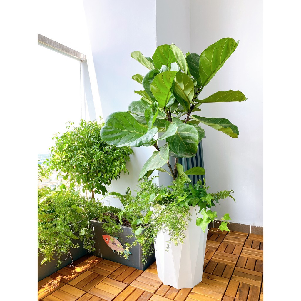 👌💖SIÊU SALE👌💖 Vỉ gỗ lót sàn ban công 12 nan 30x30 cm– Gỗ lót ban công- Sàn gỗ tự nhiên ngoài trời - Vỉ nhựa lót sàn ban