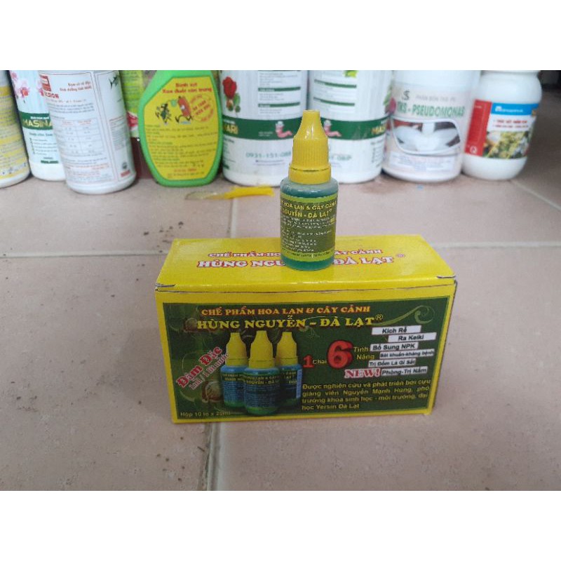 Chế phẩm Hùng Nguyễn Đà Lạt hộp 10 lọ ×20ML