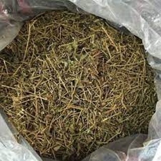 1KG Cà gai leo khô