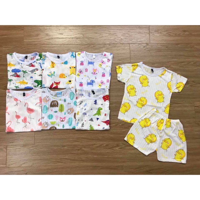Bộ cotton giấy cheryshop