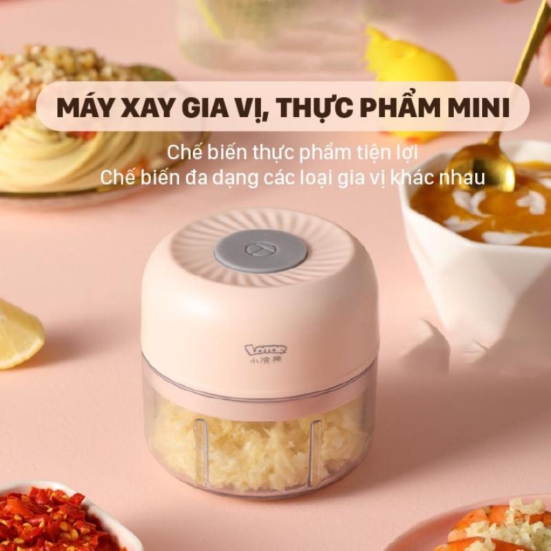 Máy xay tỏi ớt hành tiêu mini Chính hãng LOTOR DSQ100 - Xay các loại gia vị nhỏ gọn tiện lợi - BH 12 tháng - Lotor L012