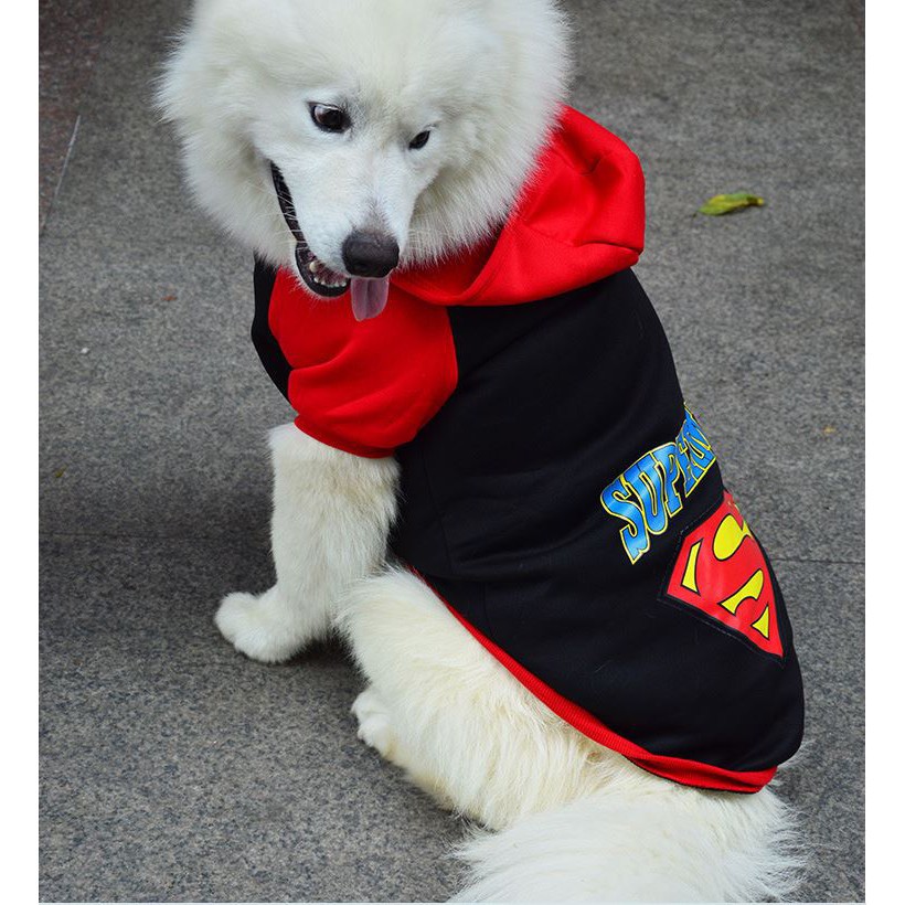 Áo superman cho BOSS to trên 10kg
