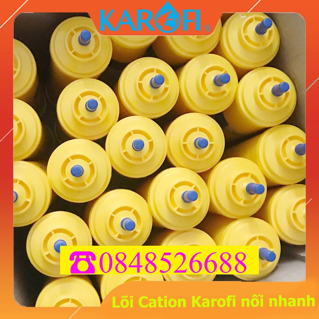 Lõi lọc Karofi T33 Cation-Lõi Cation Resins Karofi chính hãng-Dùng cho nước cứng