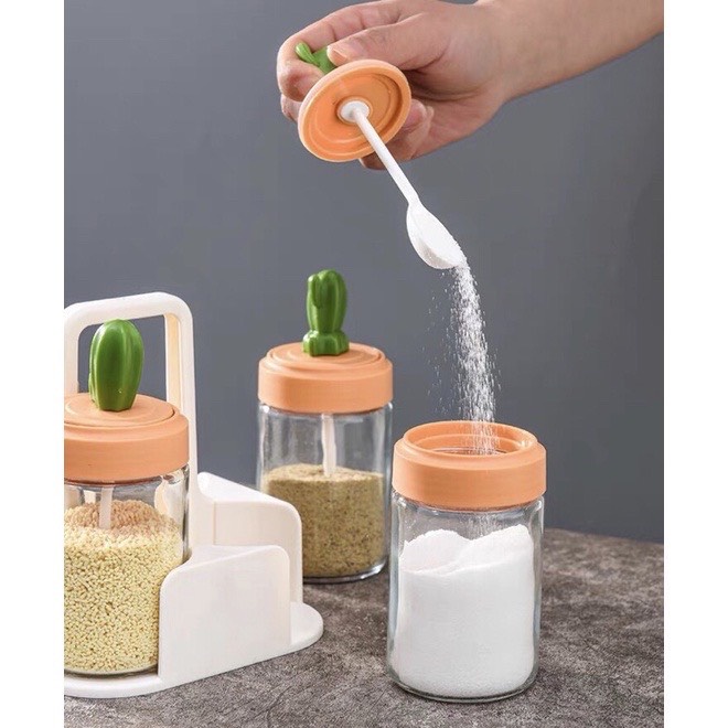 Set 4 Lọ đựng gia vị thủy tinh xương rồng cao cấp, hũ bột canh kèm muỗng thìa đẹp
