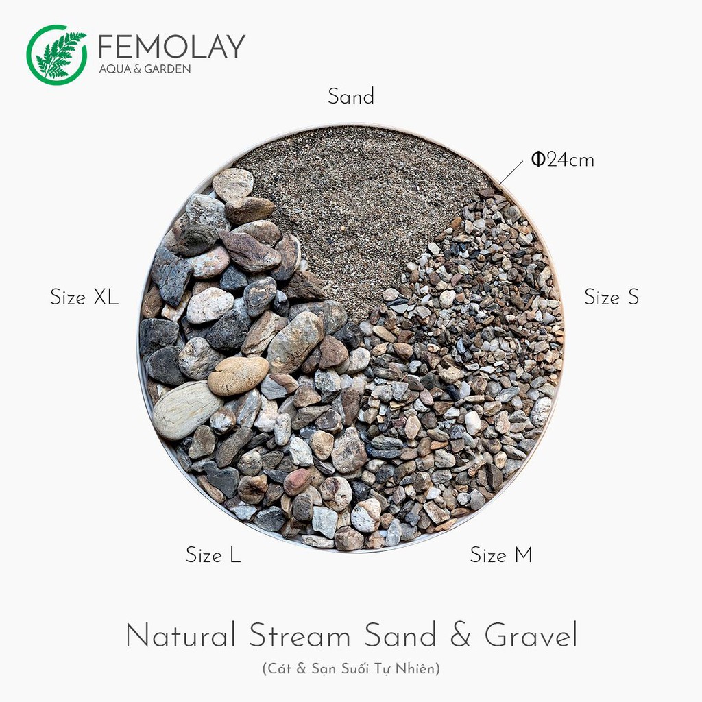 Sạn suối/sỏi suối thiên nhiên Femolay size L