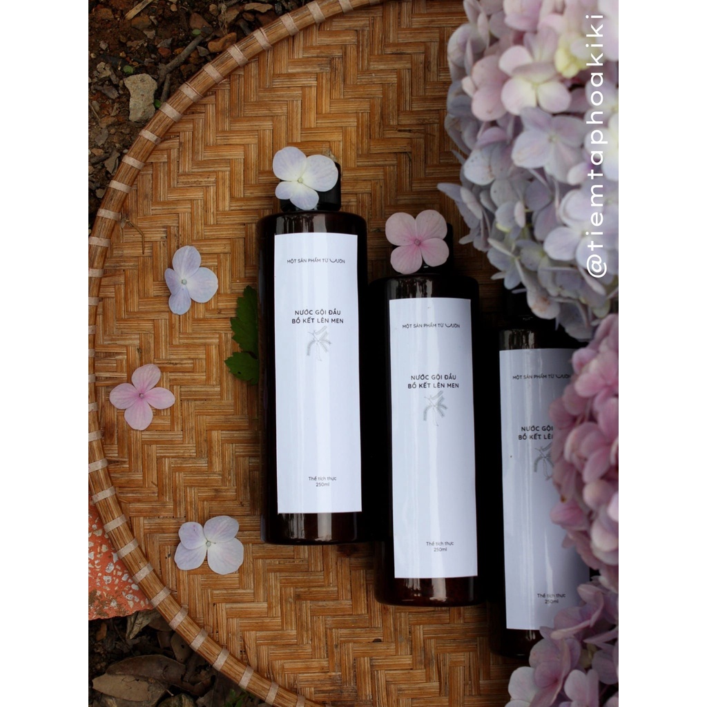 Nước gội 100% tự nhiên - bồ kết lên men