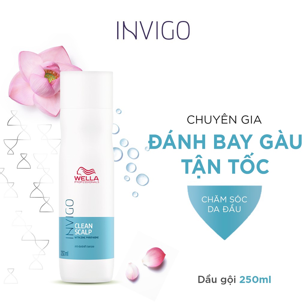 Dầu Gội Wella Invigo Giúp Chống Gàu, Làm Sạch Da Đầu Hiệu Quả Clean Scalp 250ml-Date12/2023