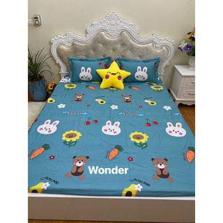 Sét ga gối cotton 100% Hàn Quốc