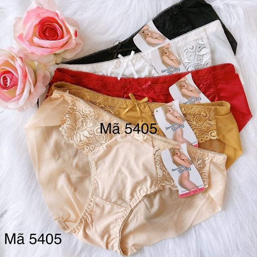 Quần Lót Spring Lưới Ren Sườn Vải Siêu Mát 5405