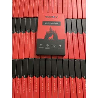 [CHÍNH HÃNG]Ổ cứng SSD Gloway  120GB - Bảo hành 36 tháng