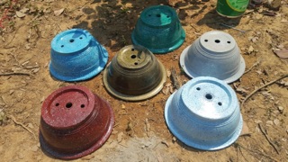 Sơn chậu kiểng thế hệ mới