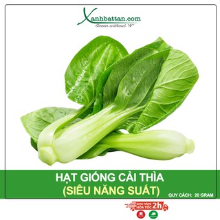 Hạt Giống Cải Thìa Phú Nông Gói 20 Gram
