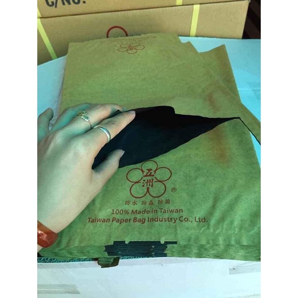 100 túi bao xoài Đài Loan giấy vàng 2 lớp hoa mai cỡ 22x34cm