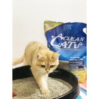 Cát Vệ Sinh Cho Mèo, Than Hoạt Tính 8L - CLEAN CAT