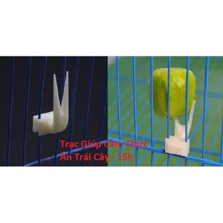 Trạc Gắn Vào Lồng Để Cắm Hoa Quả Cho Chim, Vẹt, Hamster