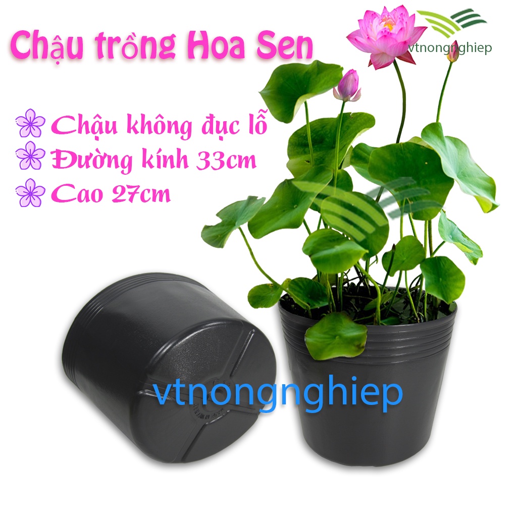 5 Chậu nhựa đen C12 không lỗ, đường kính 33cm, trồng hoa sen, nuôi cá, nuôi lươn