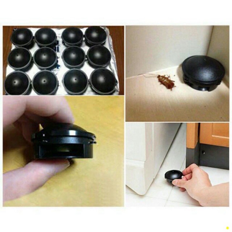 Hộp 12 viên diệt dán Nhật Bản