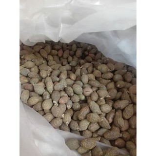 100gr hạt ươi bay hàng chuẩn