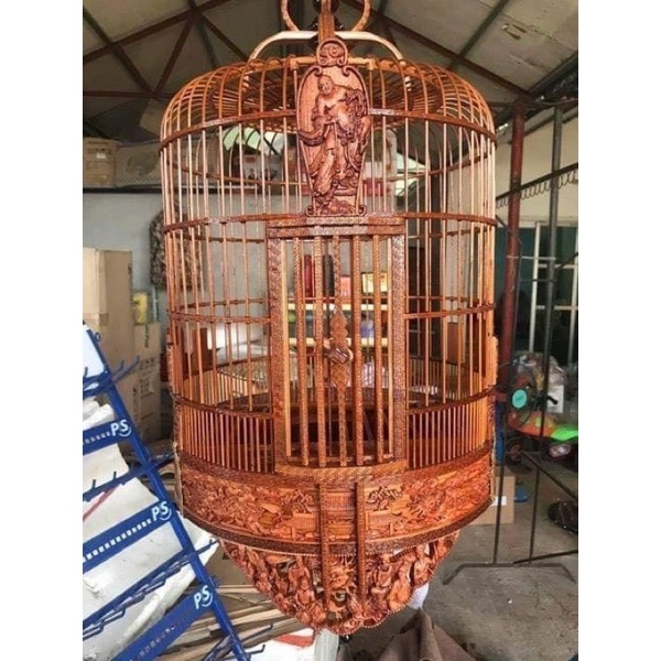 DẦU Ủ LỒNG TUẤN MI