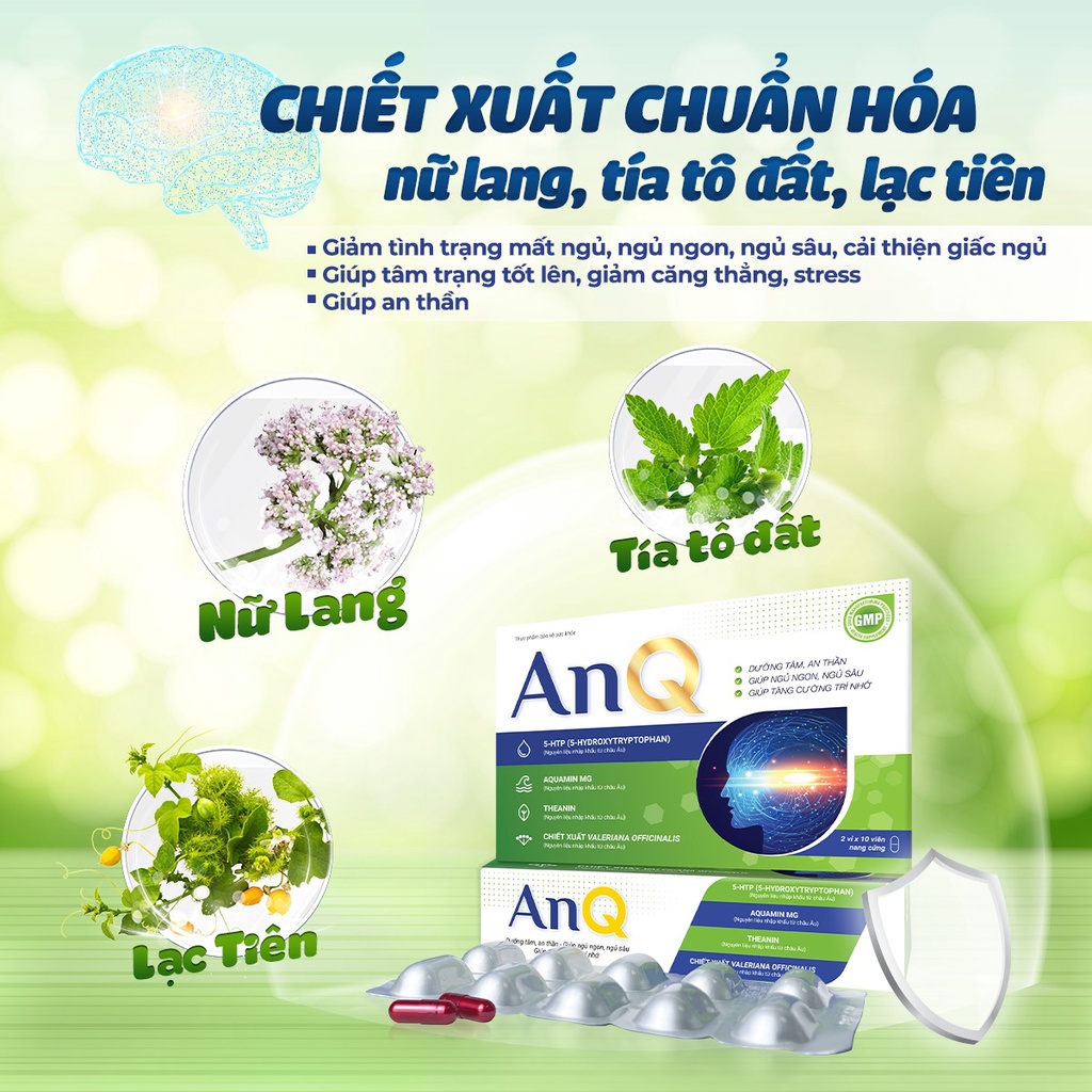 Viên Uống Ngủ Ngon AnQ Cải Thiện Mất Ngủ, Giúp Ngủ Sâu, Dưỡng Tâm, An Thần, Tăng Cường Trí Nhớ, Hộp 20 Viên TTP041