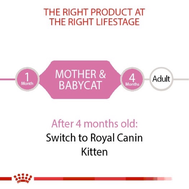 PATE ROYAL CANIN MOTHER & BABYCAT 195G