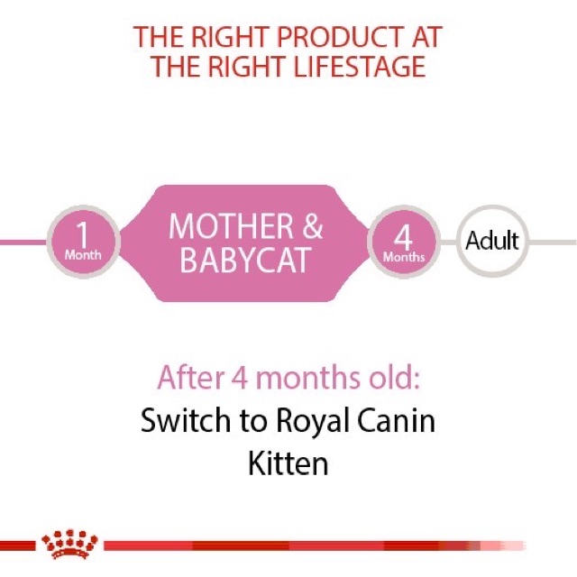 [Mã PET50K giảm Giảm 10% - Tối đa 50K đơn từ 250K] PATE ROYAL CANIN MOTHER &amp; BABYCAT 195G