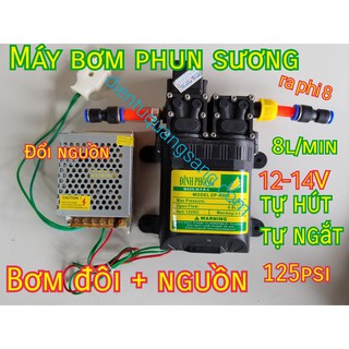 Bơm áp lực 12V 8l/min Bơm Đôi ĐỈNH Phong kèm Nguồn
