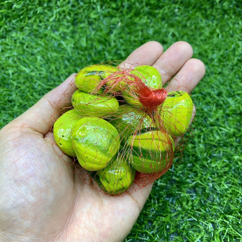200gr Sỏi Nhiều Màu Trang Trí Bể Cá, Chậu Cây, Decor - Đá Phong Thủy