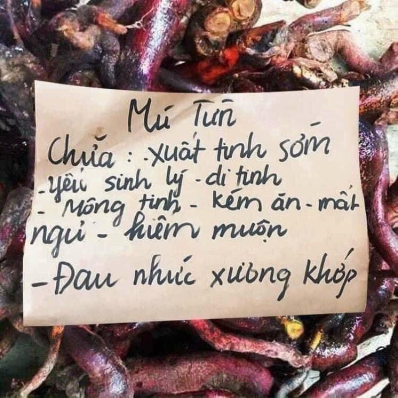 Rễ mú từn- cù boong lậu